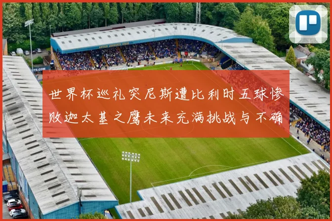 世界杯巡礼突尼斯遭比利时五球惨败迦太基之鹰未来充满挑战与不确定性