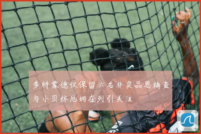 多特蒙德仅保留六名非卖品恩梅查与小贝林厄姆在列引关注