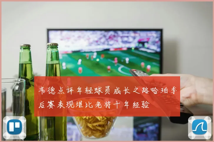 韦德点评年轻球员成长之路哈珀季后赛表现堪比老将十年经验